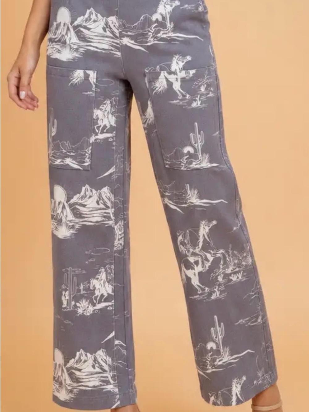 Gray Straight-Leg Jeans with Desert Print